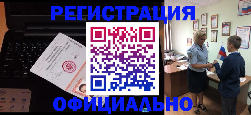 прописка для школы в Подольске